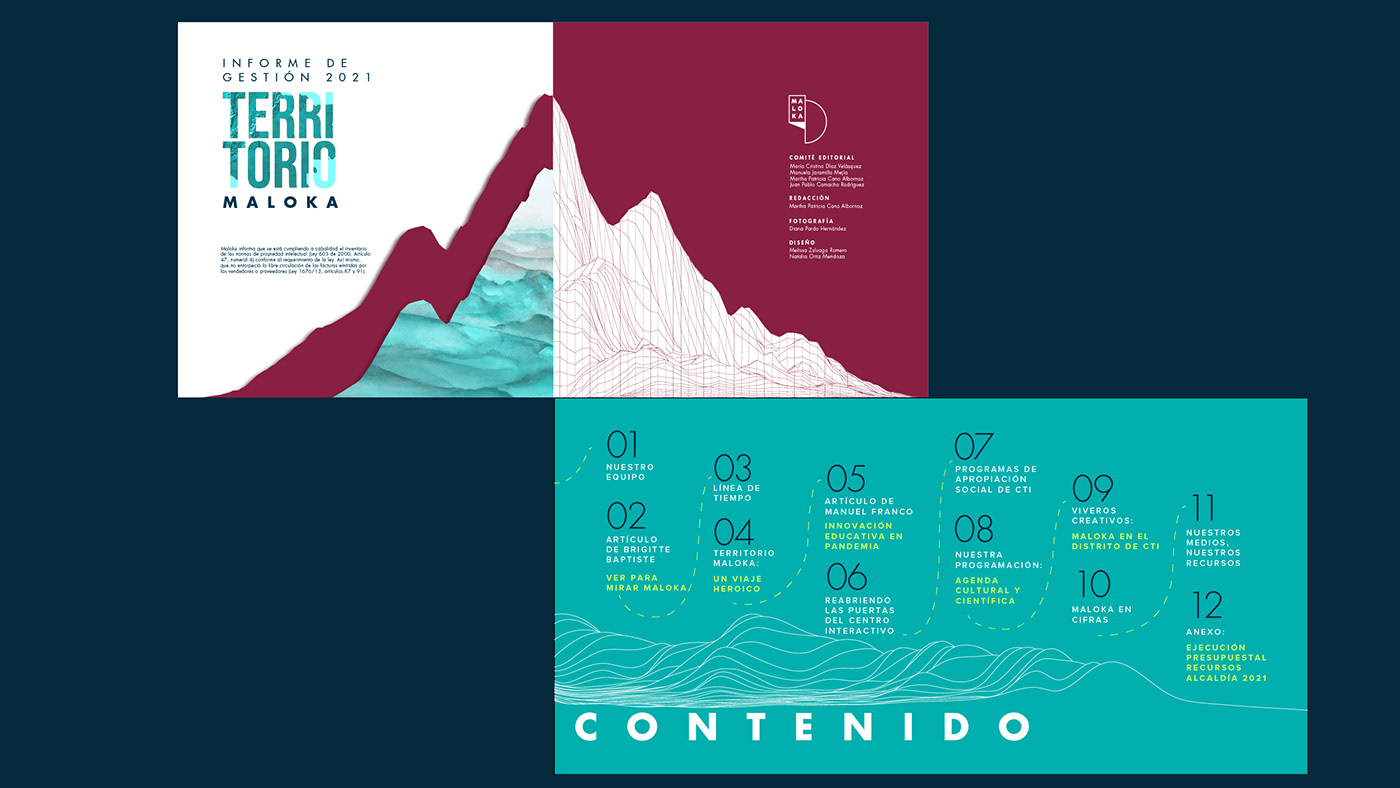 book brand identity corporativo diseño gráfico editorial institucional Logo Design marca typography   visual identity