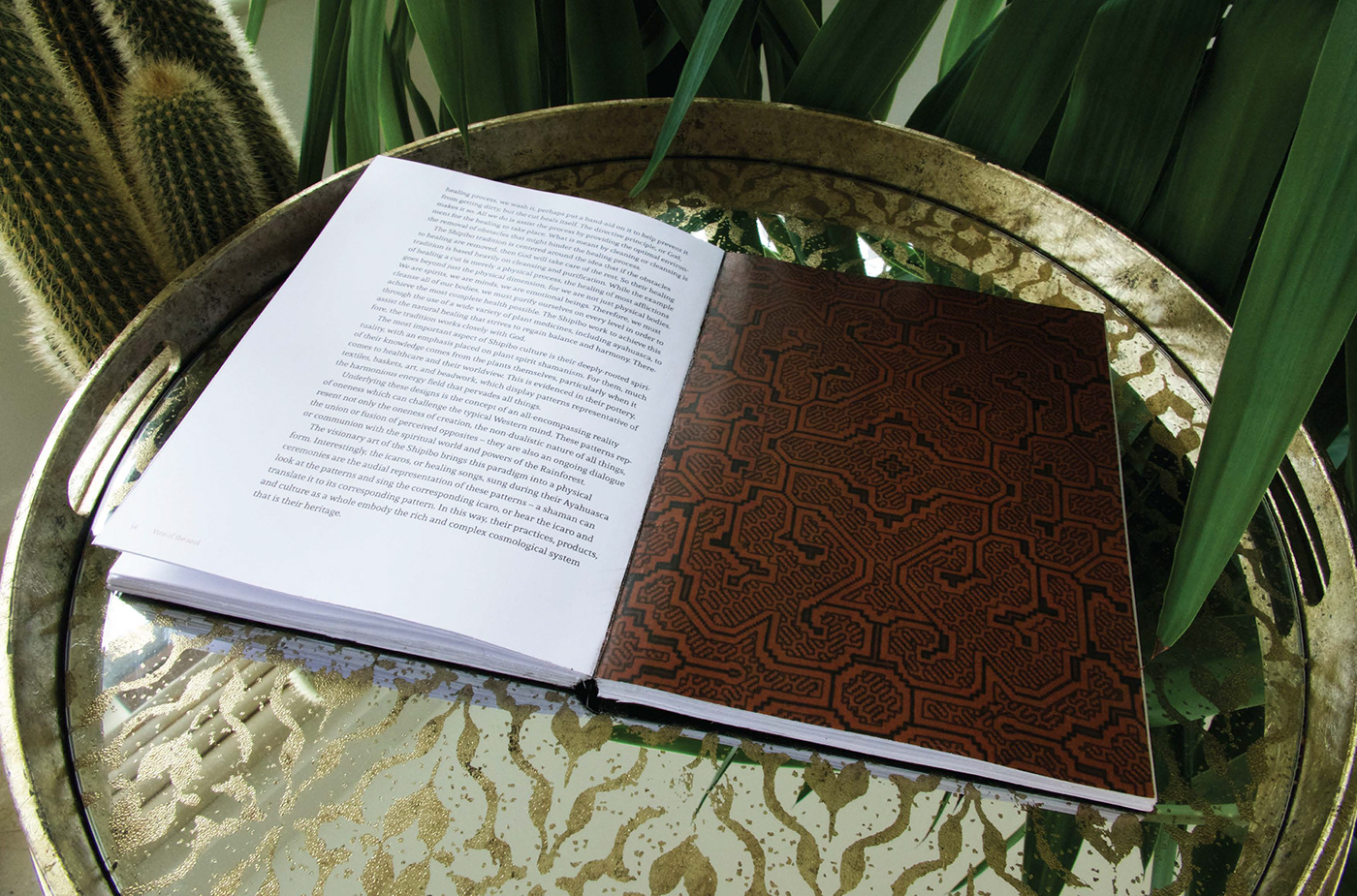 Amazonas ayahuasca book history medicine shipibo