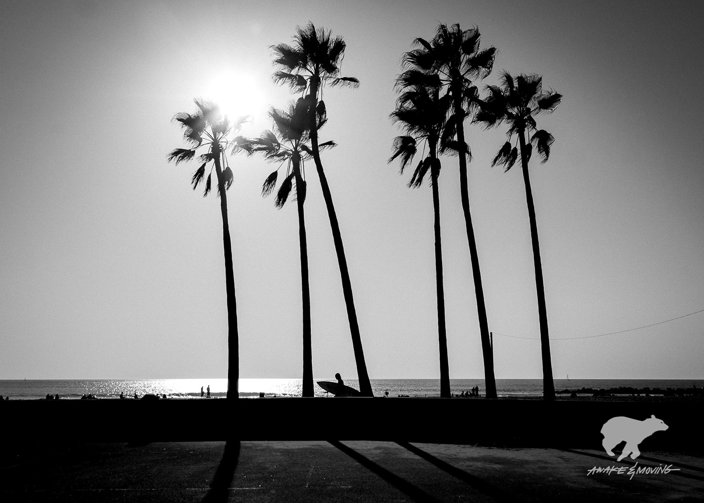 la Venice beach Photography  Los Angeles santa monica dtla photo Canon Travel