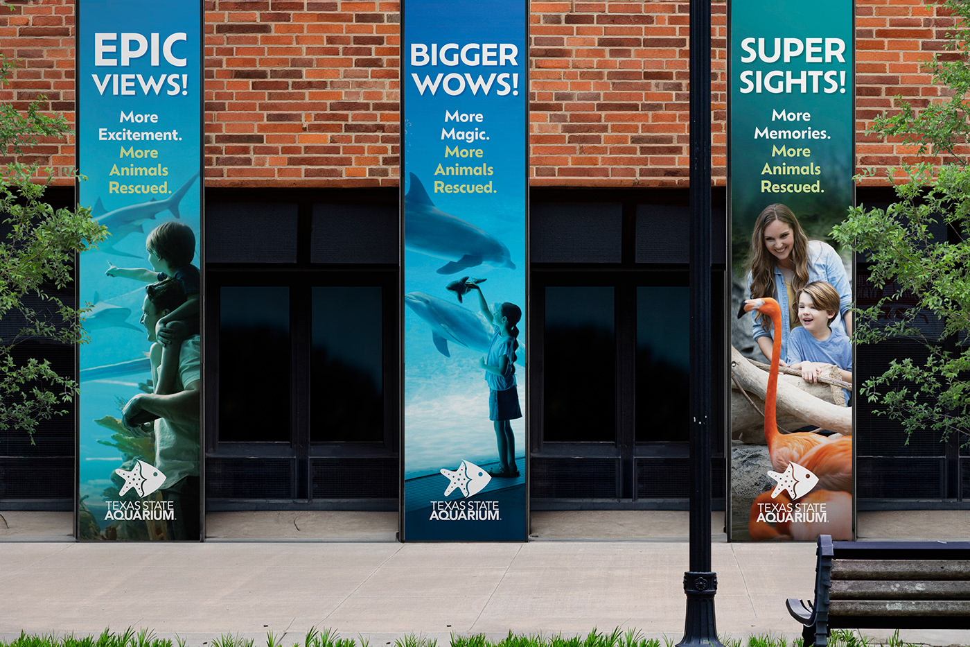 Adobe Portfolio aquarium texas Logo Design billboard design Advertising  Corpus Christi