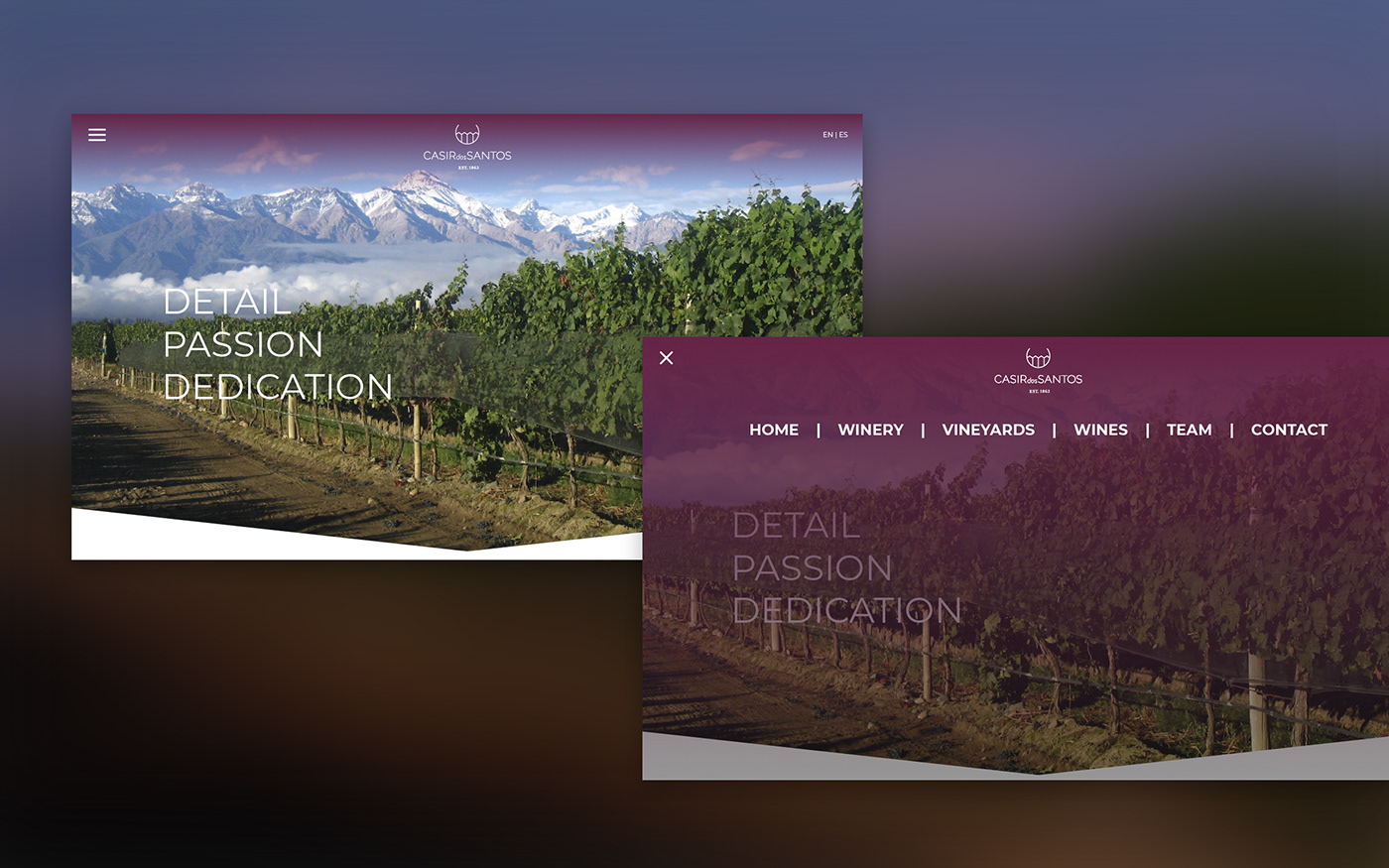 UI ux wine graphic design  Web Design  winery clean flat design minimalistic