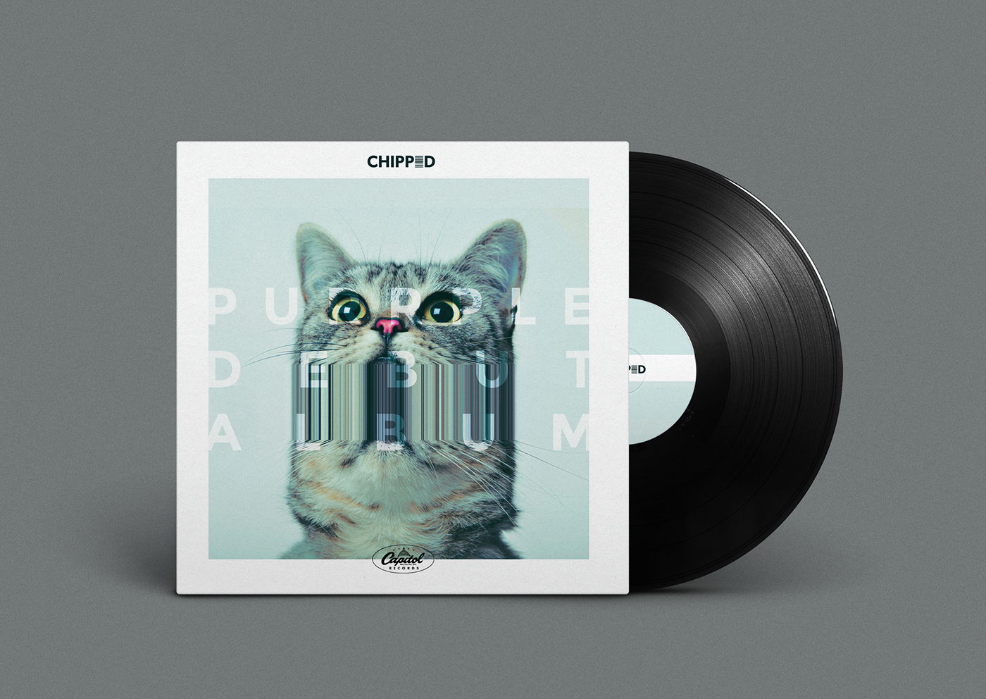 purrple Music Branding band cats Cat design catnip chipped I'm wet Album cd