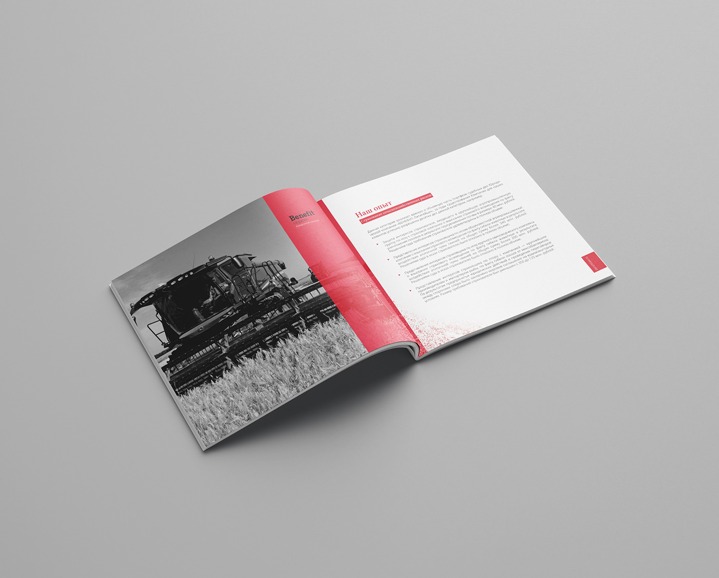 design Booklet brochure magazine typography   book буклет верстка брошюра графический дизайн
