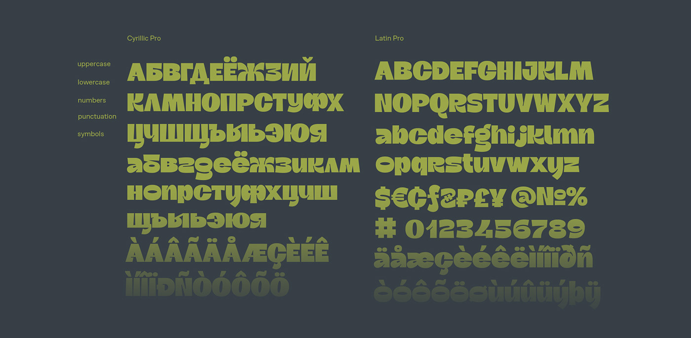 Display font modern type Typeface typographic typography   typography design типографика шрифт