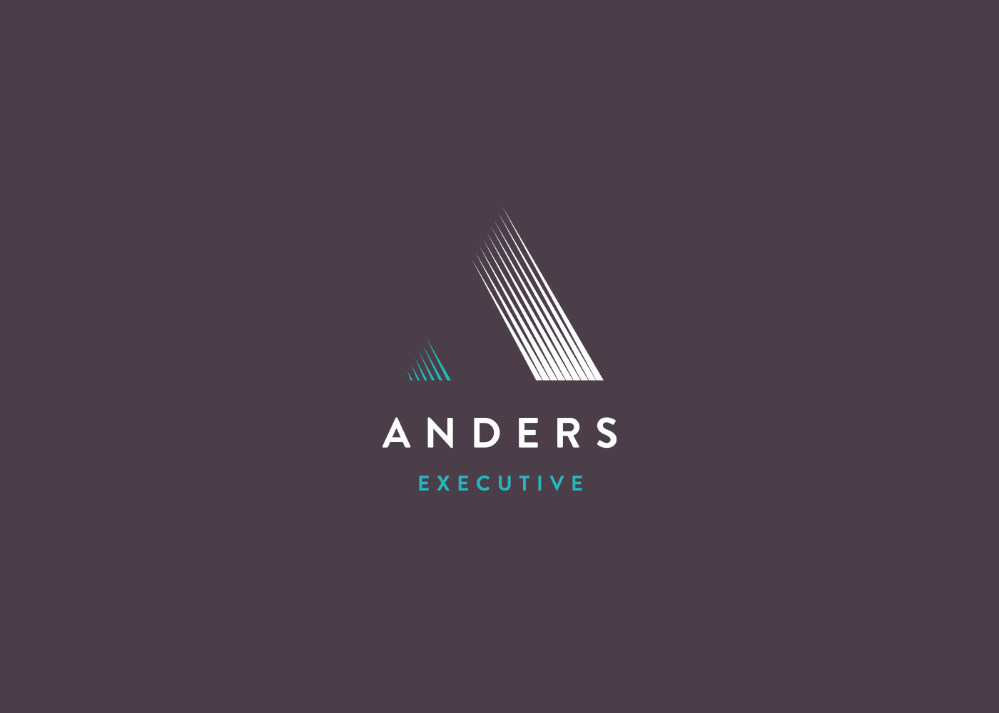 Anders Executive Anders Executive Branding Recruitment Branding recruitment recruitment logo recruitment website executive branding Logo and website