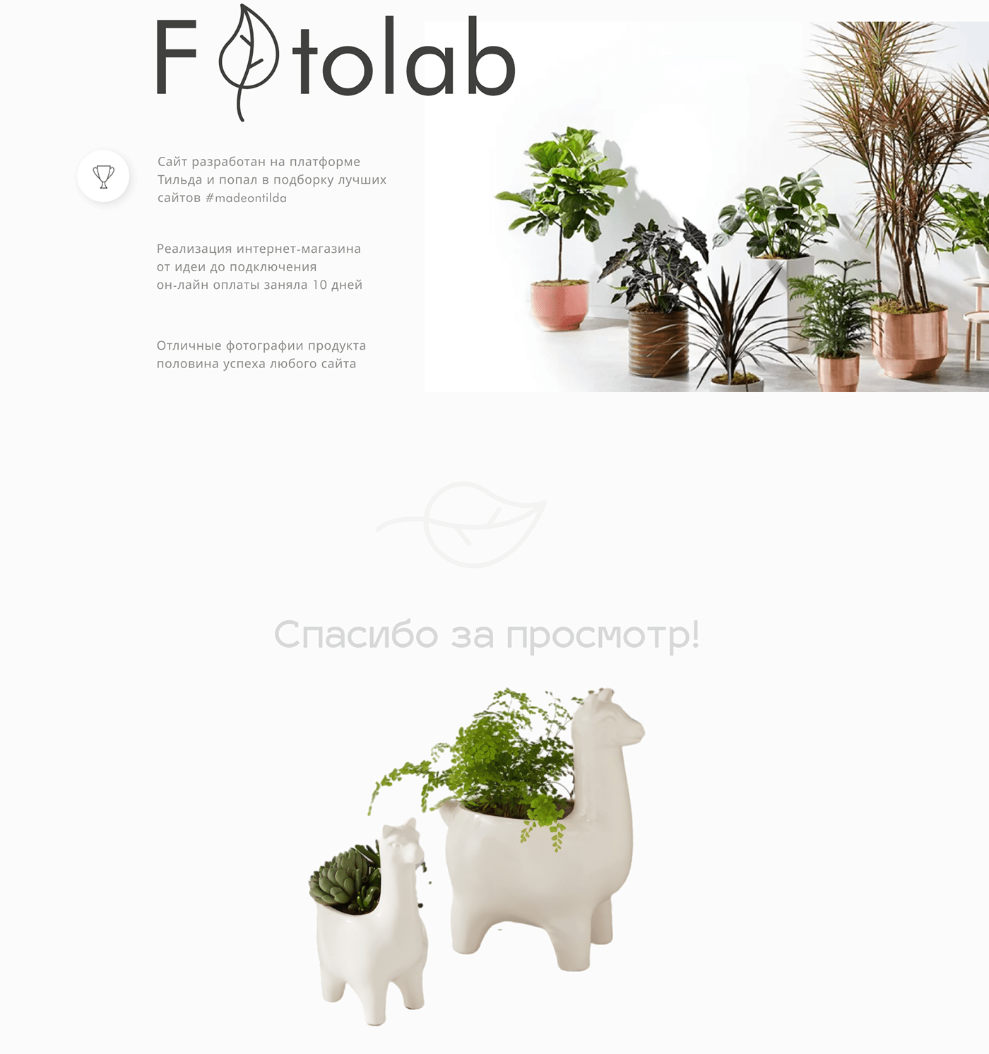 clean Minimalism plants shop store UI ux Webdesign Website интернет-магазин