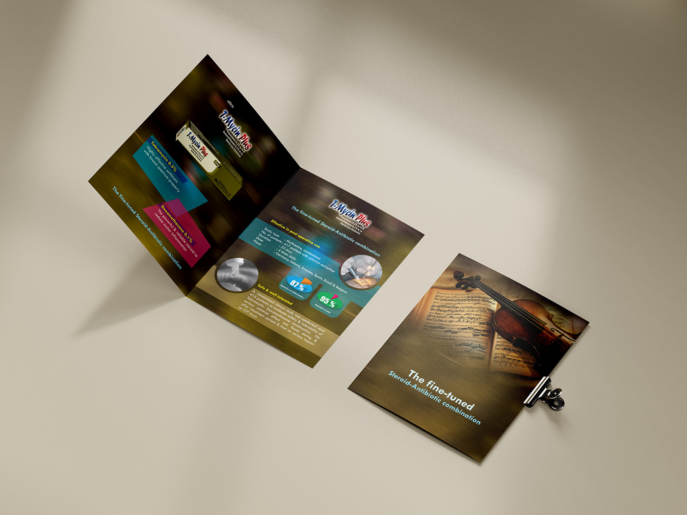 literature brochure flyer Graphic Designer