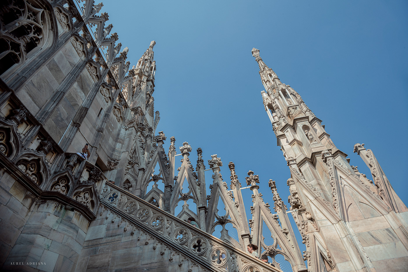 cathedral milano building architecture Photography  Travel city people life SKY