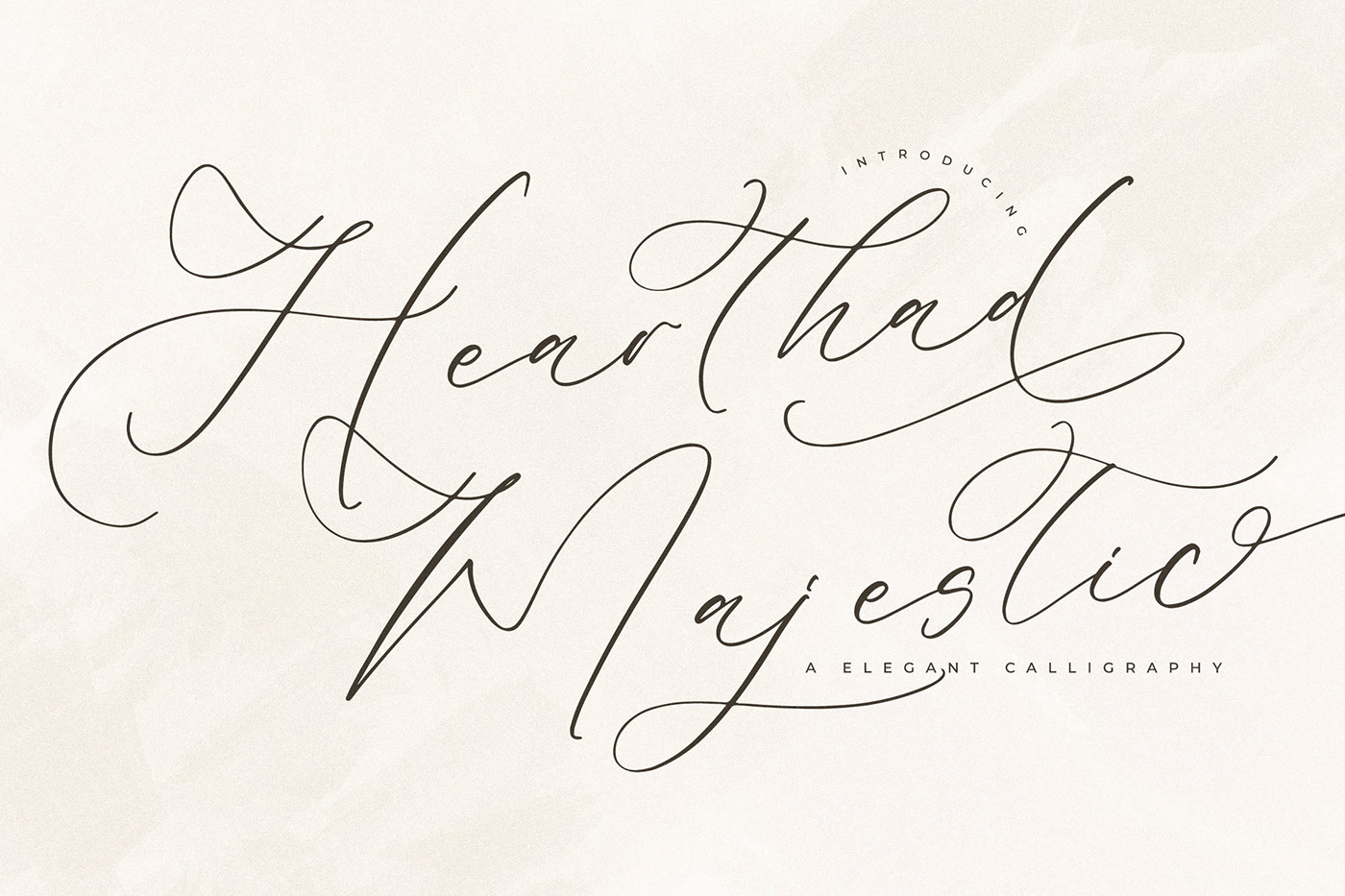 signature wedding Script Fashion  Photography  branding  elegant font Calligraphy  