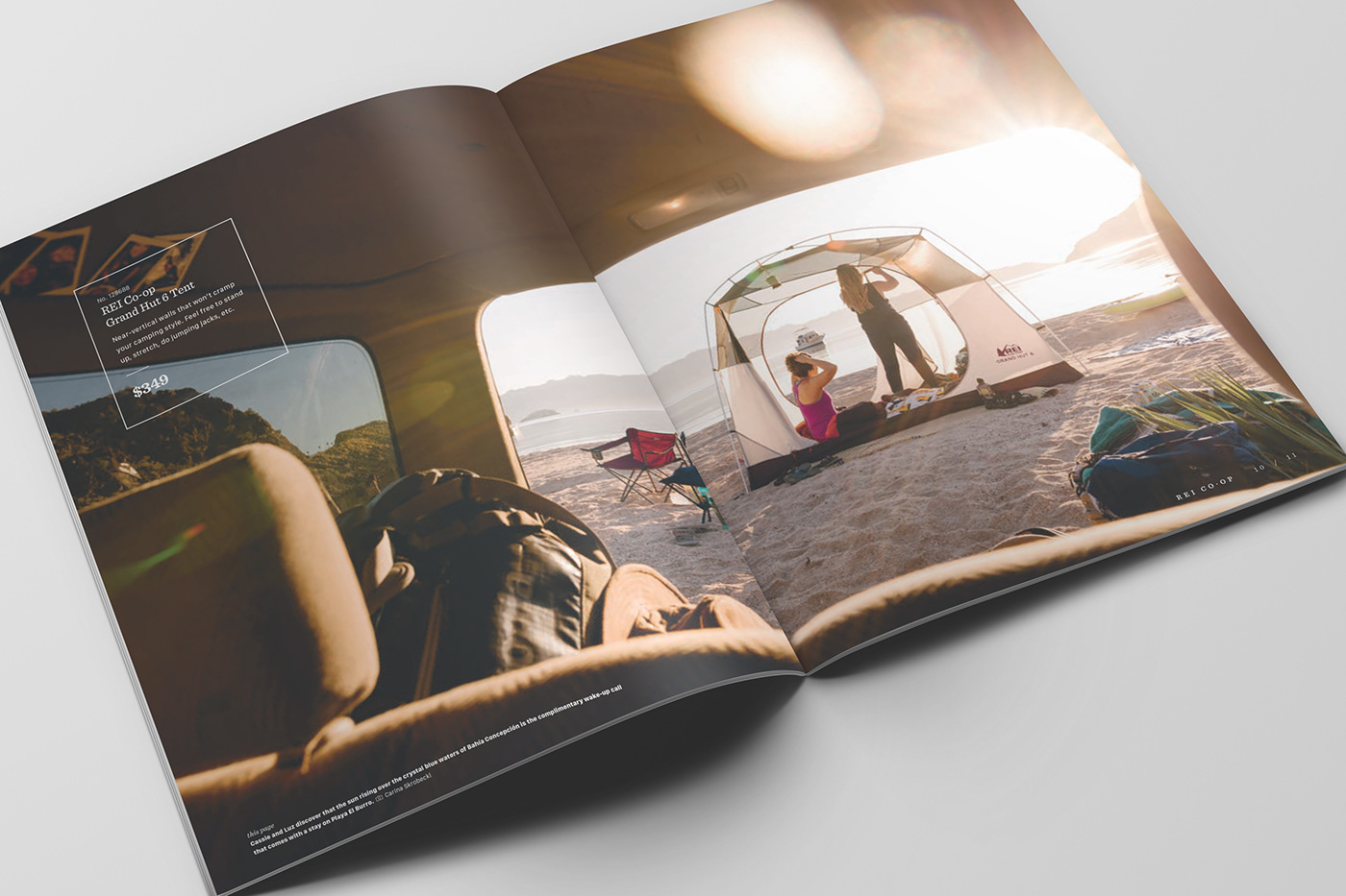 Advertising  brochure campaign catalog flyer Layout marketing   Photography  print design 