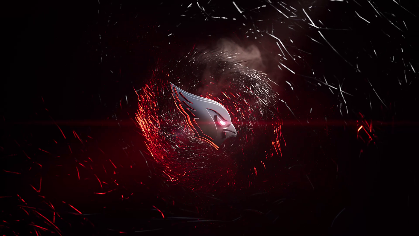 sports nfl team Arizona Cardinals arizona design motion graphics  animation  cinema 4d 3D