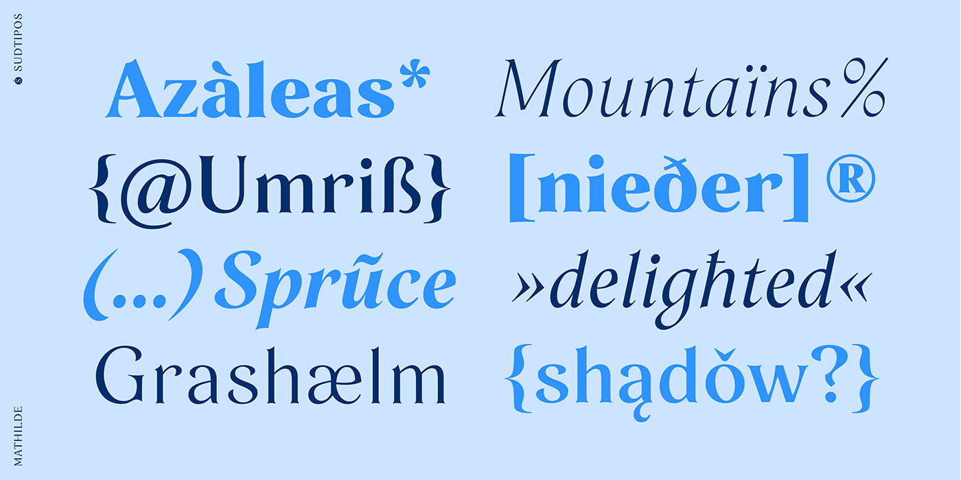 editorial Stationery elegant font book font branding  stylish font Typeface delicade font German Font sudtipos
