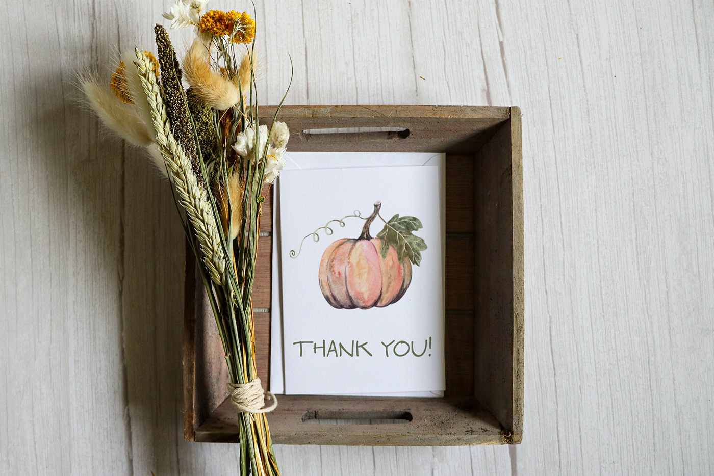 watercolor harvest hand drawn Collection pumpkin autumn clipart Drawing 