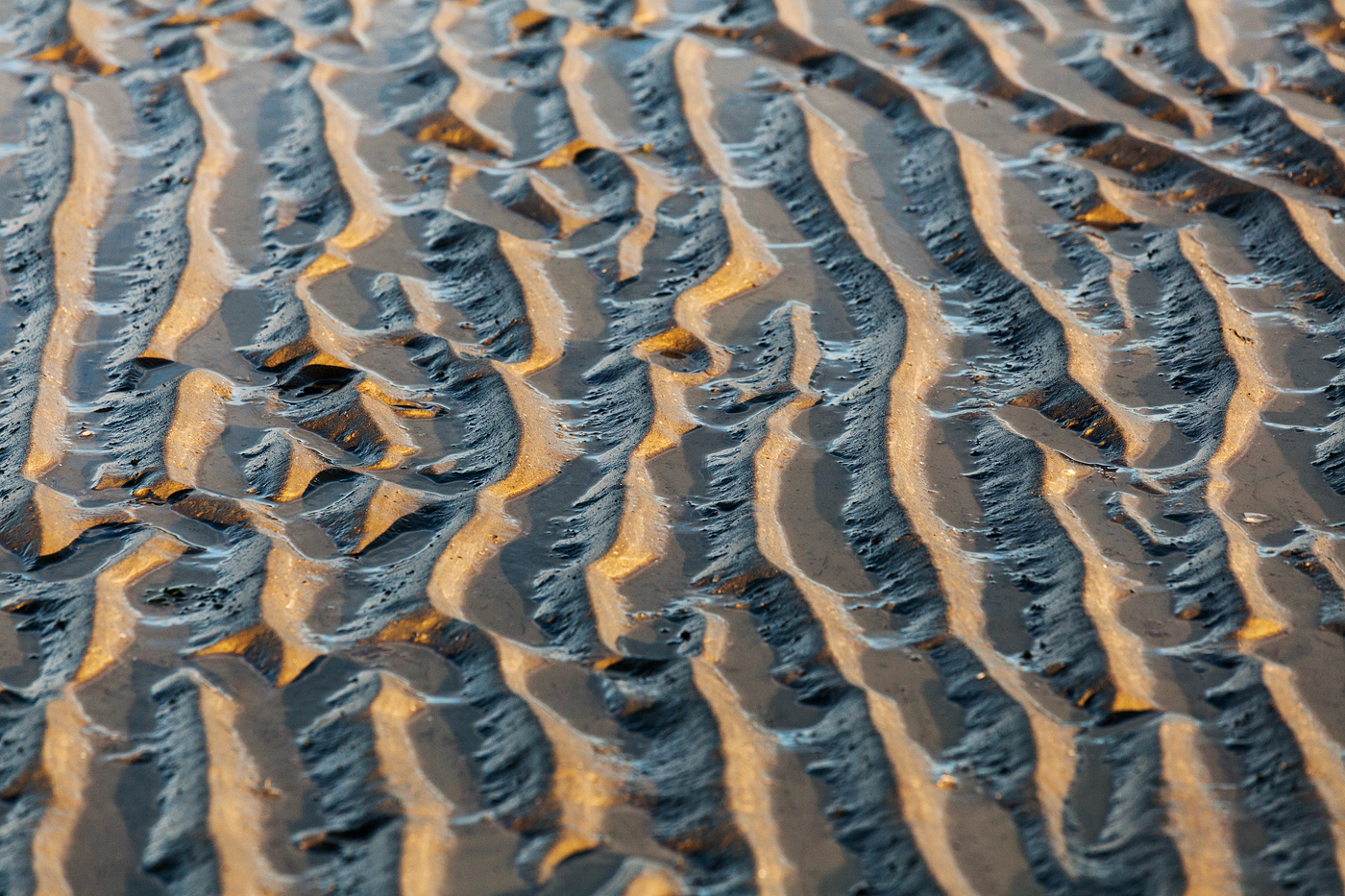 sand structure pattern waves motion beach water reflection contemporary abstract Nature Landscape North Sea Netherlands