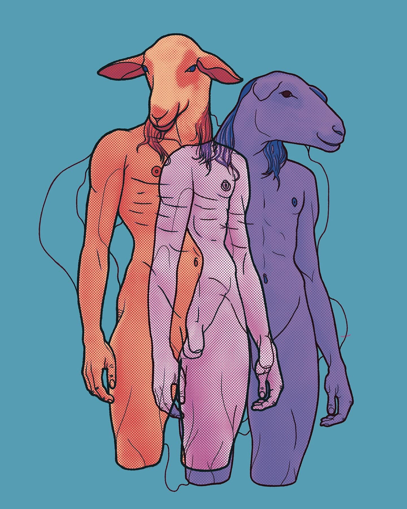 anatomia corpo doppio pecore uomo