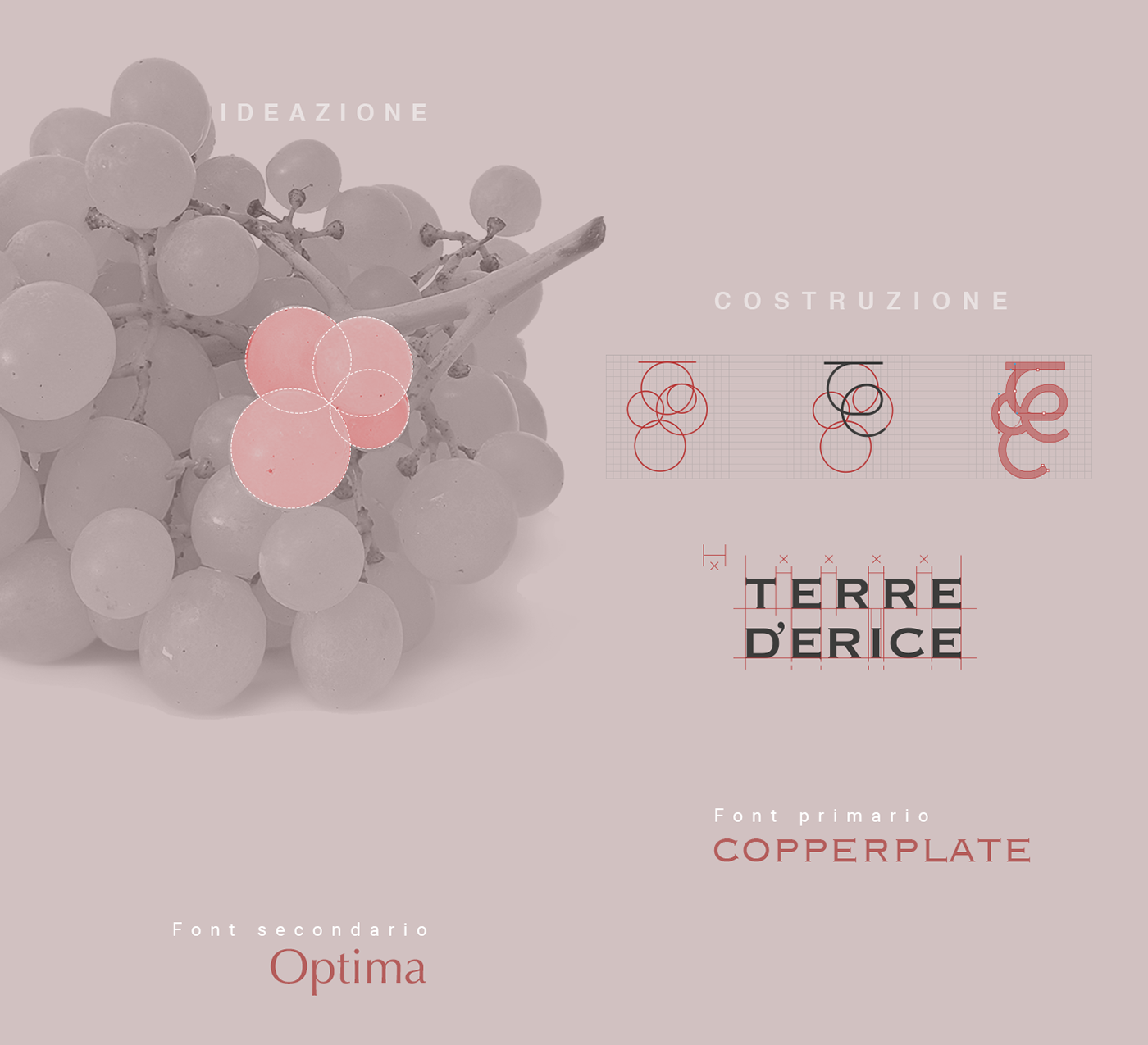 Terre d'Erice branding  Corporate Identity icon & button immagine coordinata Label mark & logotype vino Website wine