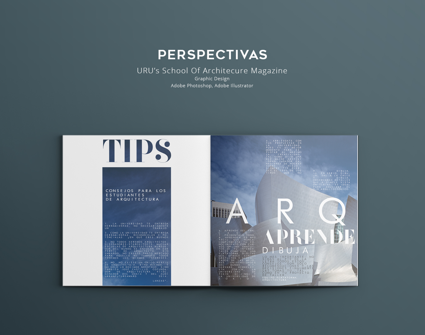 magazine architecture maracaibo revista graphic design  venezuela urbano perspectivas proyecto Entrevista
