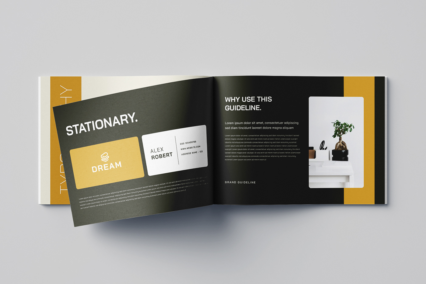 brand guidelines branding  brand style guide minimalist InDesign brand book branding manual branding guidelines branding presentation  Branding Identity
