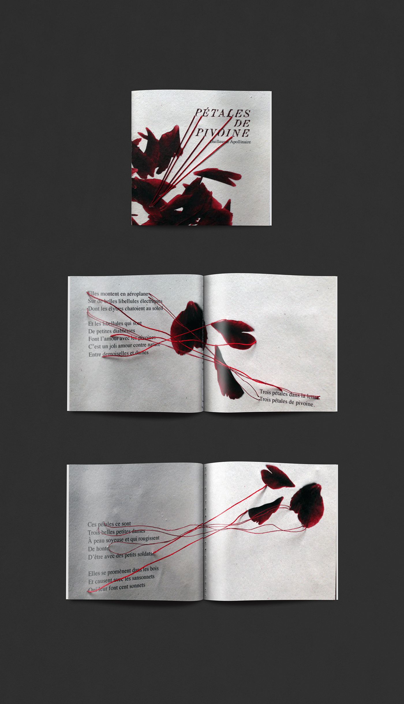 Packaging graphic design  Esa Saint Luc saint luc liège Jury self-portrait visual identity edition sewing organic