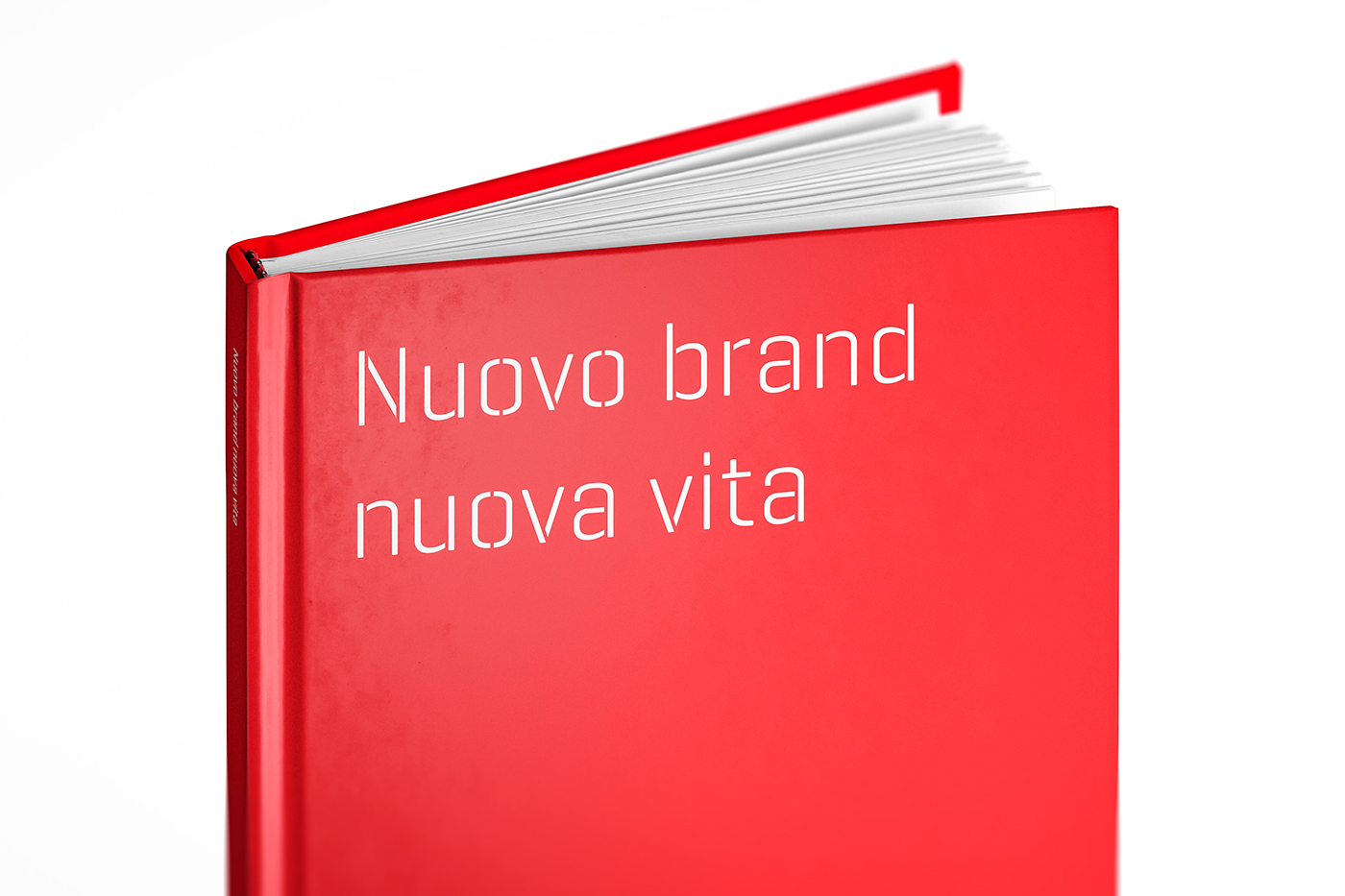 branding  museum identity logo Stationery poster book brand guidelines inspiration