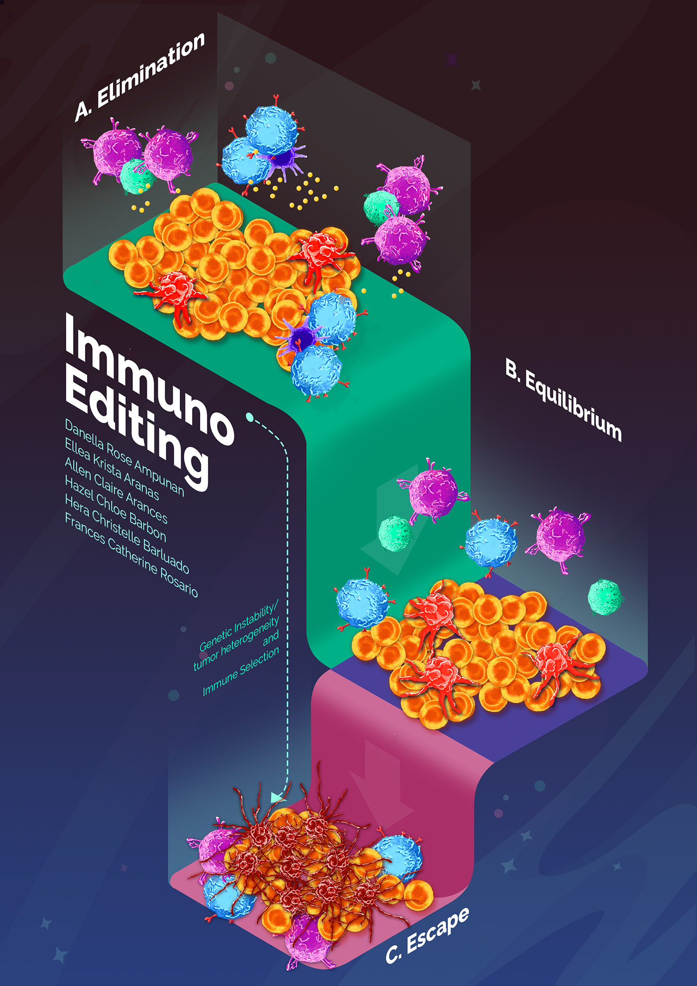 anatomy body cancer cells Digital Art  IMMUNE immune system infographics medicine photoshop