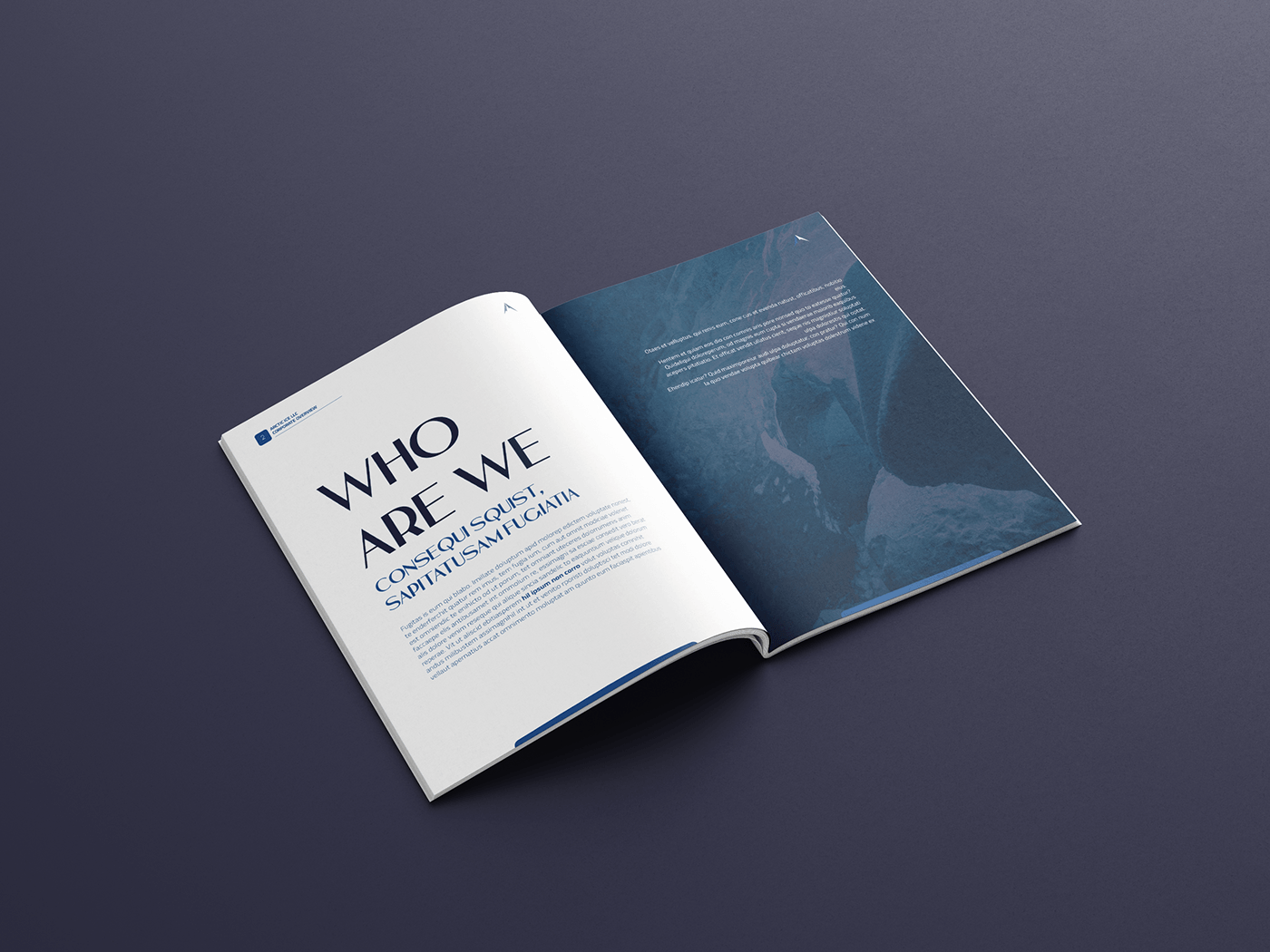 design brand identity brochure design company profile annual report