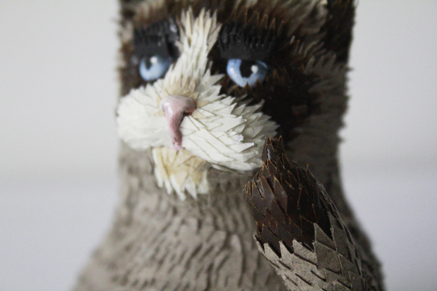 grumpy cat Cat animal craft handmade paper creative Pet pets cut