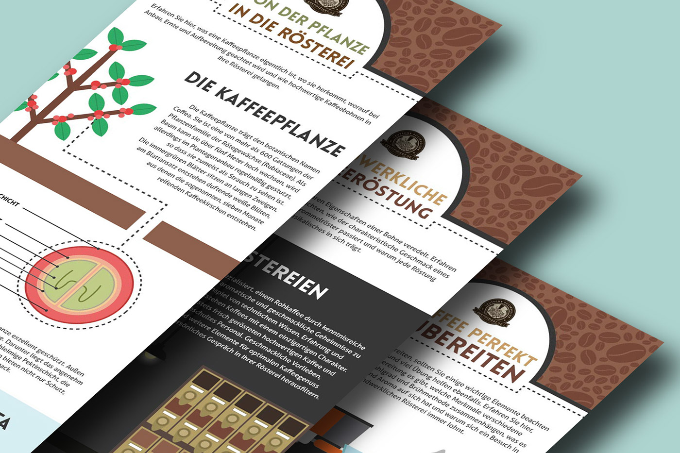 Coffee Roaster hand-roasted book leaflet infographic Booklet ILLUSTRATION  Coffee lovers hand-roasted coffee
