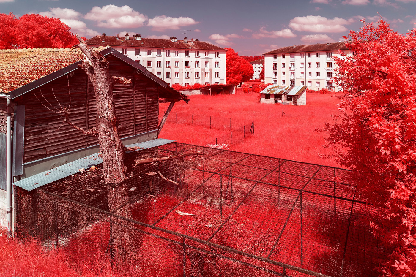 Aerochrome france infrared infrared photography kolarivision Landscape Nature Photography  reportage series