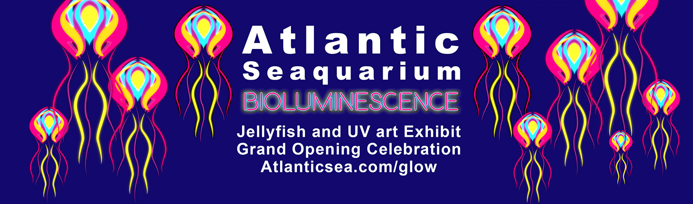 jellyfish aquarium motion graphics  Full Sail DGT1708 glow projection mapping