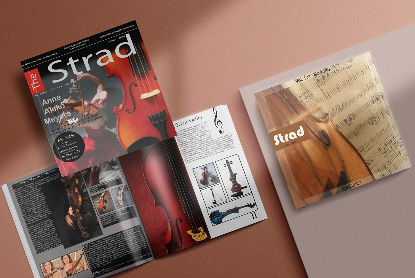 design InDesign magazine Magazine Cover Magazine design Musical Instrument print Violin