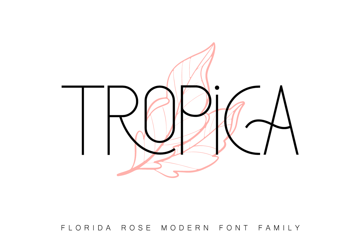 branding  font font design fonts lettering Logo Design Logotype modern font sans serif typography  