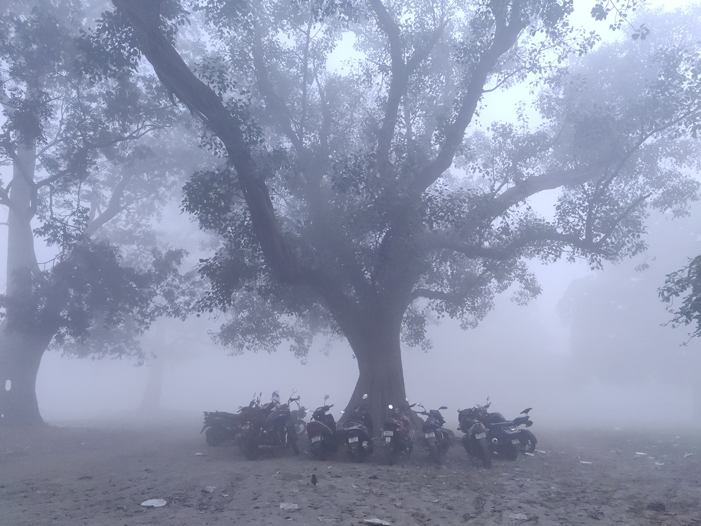 cityscape fog India Kolkata mist MORNING people Travel winter