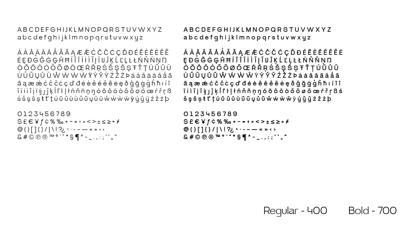 Brutalism graphic design  type type design Typeface typography  