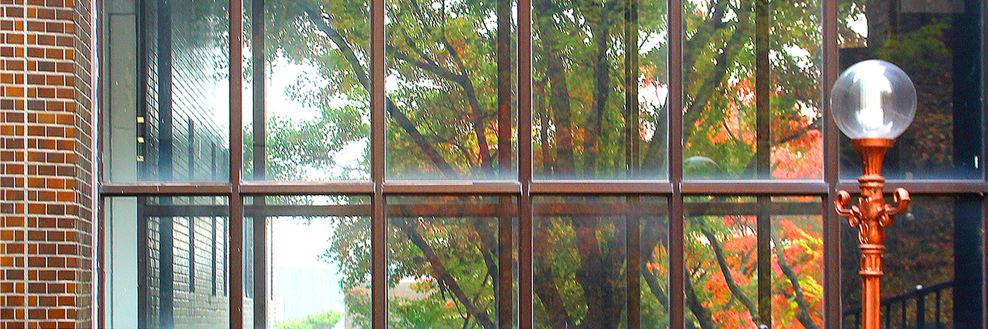 #reflection #SeoulNationalUniversity #nature #architecture #photography #mirror  #glass  #Autumn   #korea #seoul #conceptual