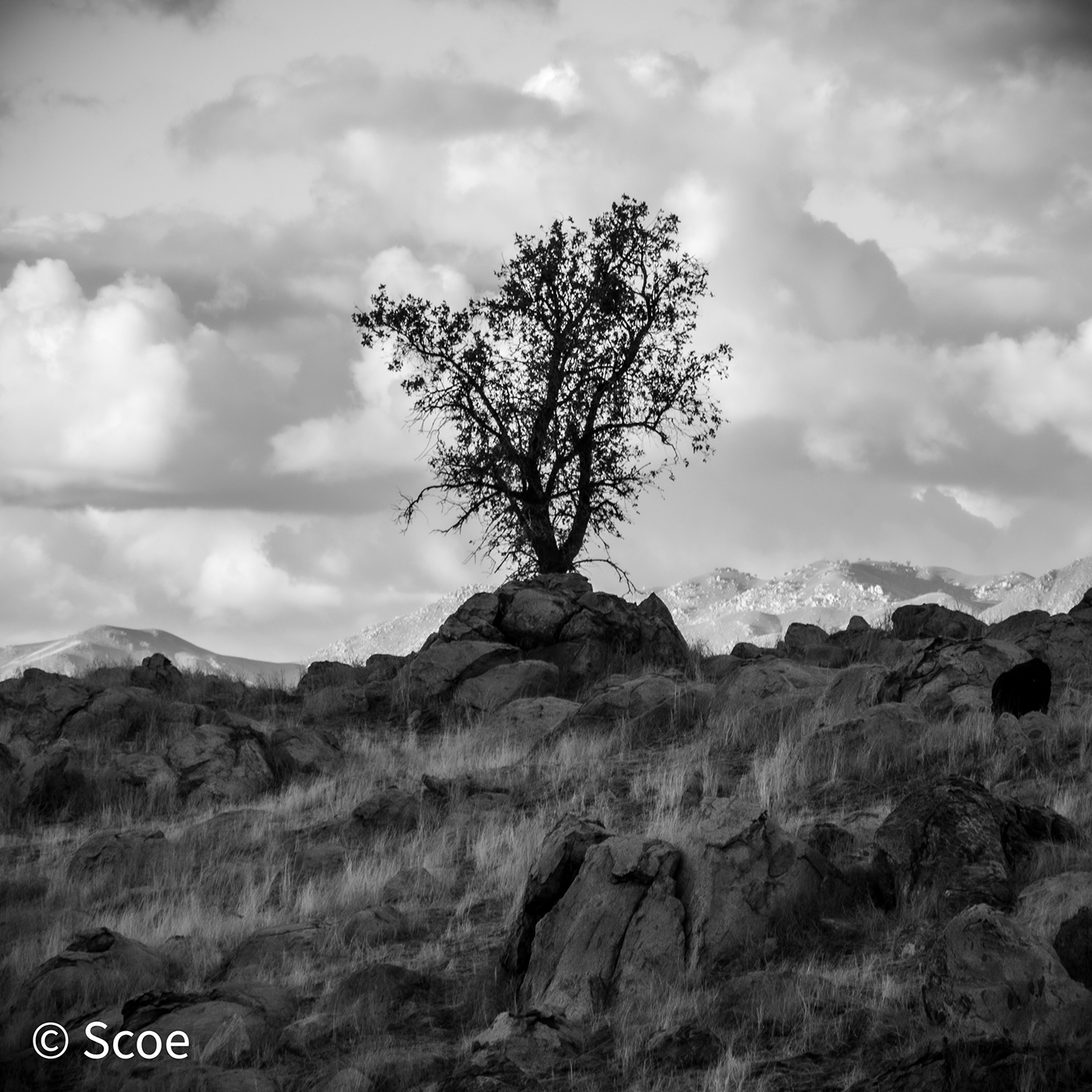 d850 learning Nikon Photography  black and white Landscape