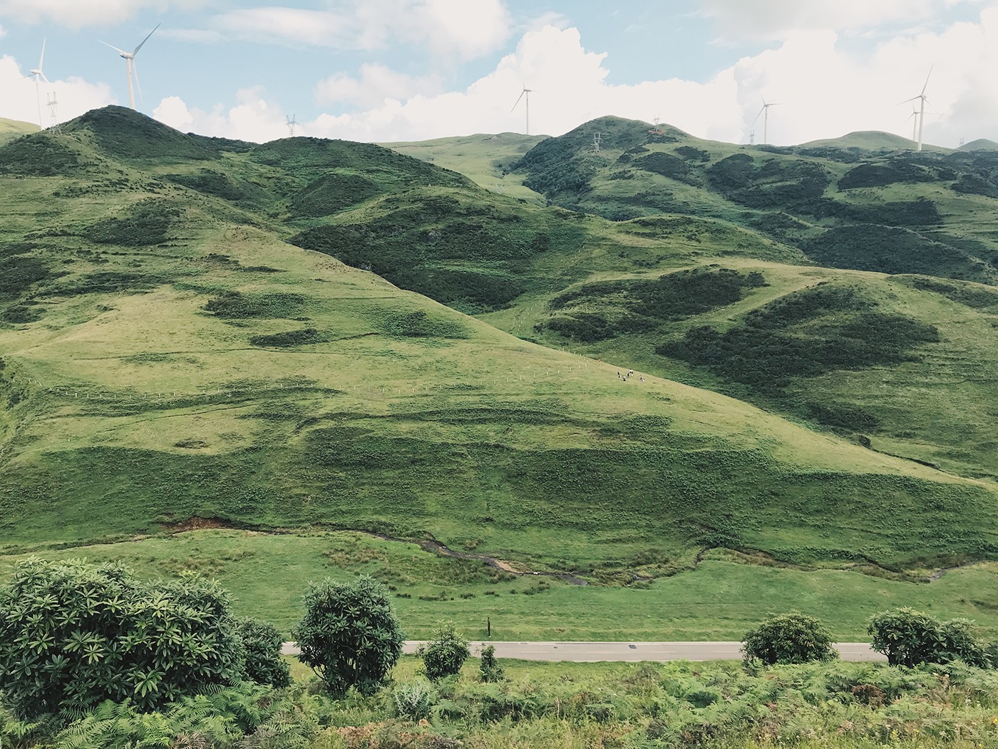 iphone Photography  vsco china plateau summer mobile phone photography color green Travel
