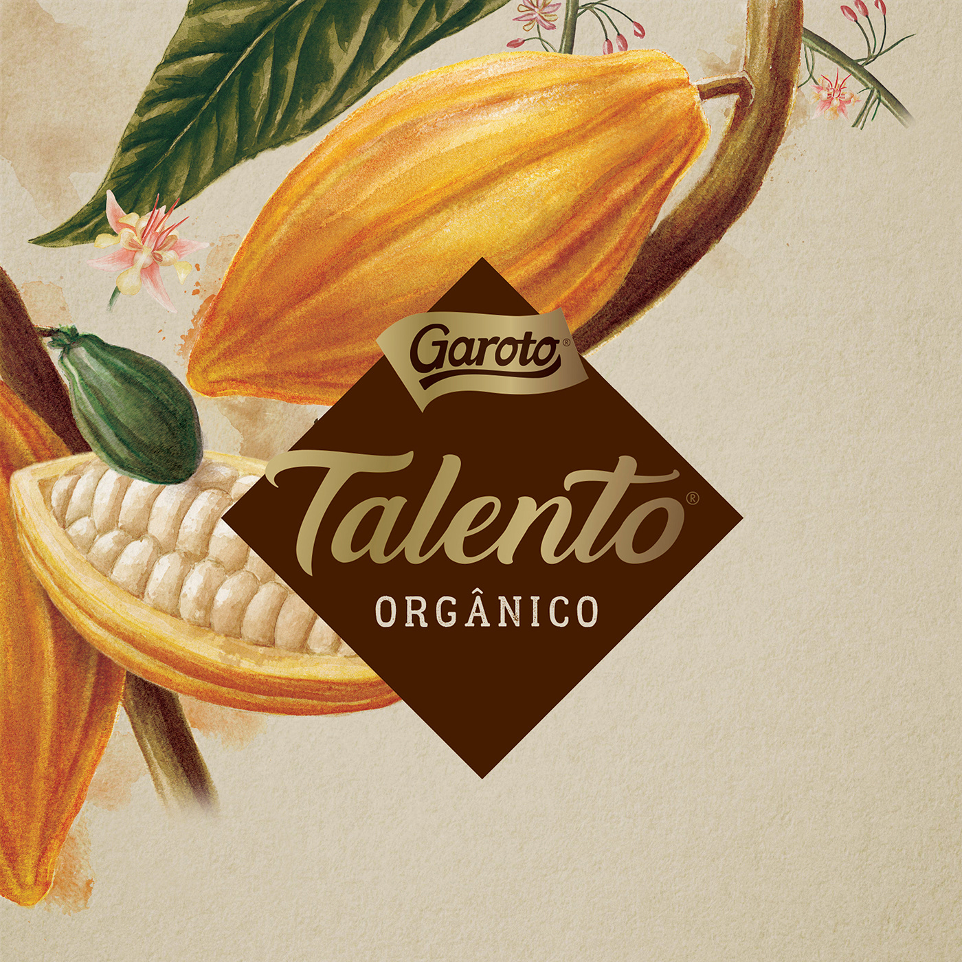 garoto talento chocolate future brand monstro studio nestle
