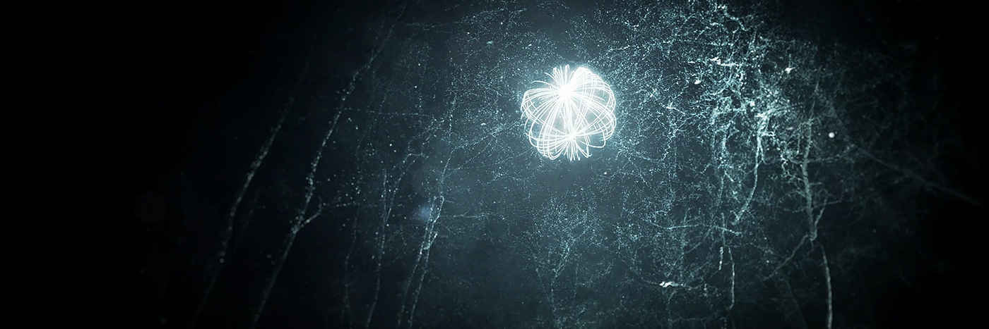 dust forest illuminate LiDAR light particle concert live show shawn mendes motion graphics 