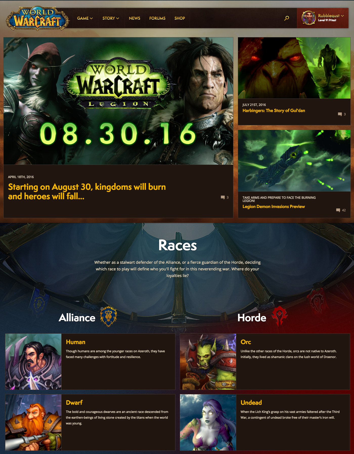 Web Design  Website Web online game Blizzard warcraft