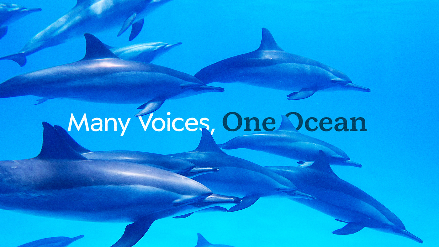 Ocean conservation Nature environment wildlife fish animals identity Sustainability logo