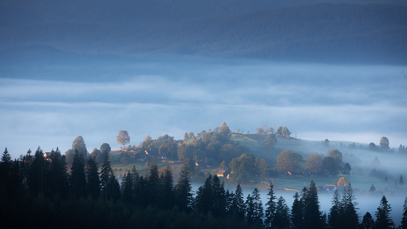 autumn Canon fog Landscape mist Nature Photography  trees