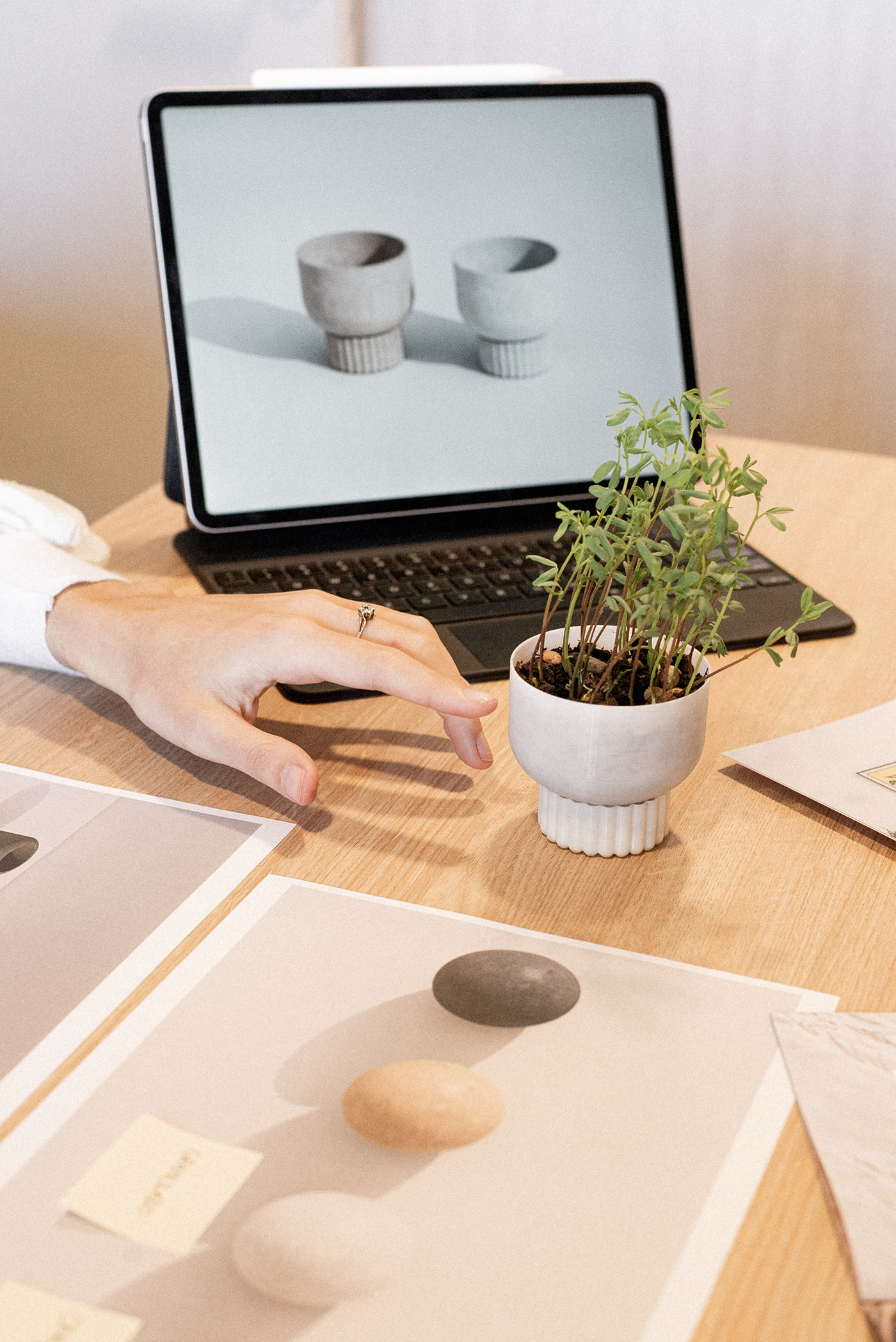design interior design  plants Pots product design  Render visualization