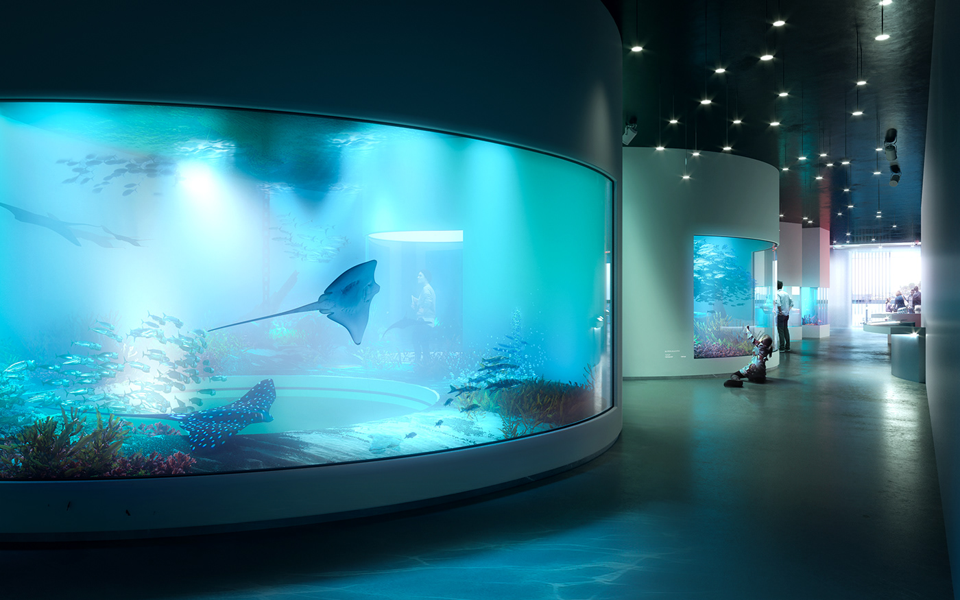 Scénographie aquarium Seaquarium france interiordesign architecture Interior fishes