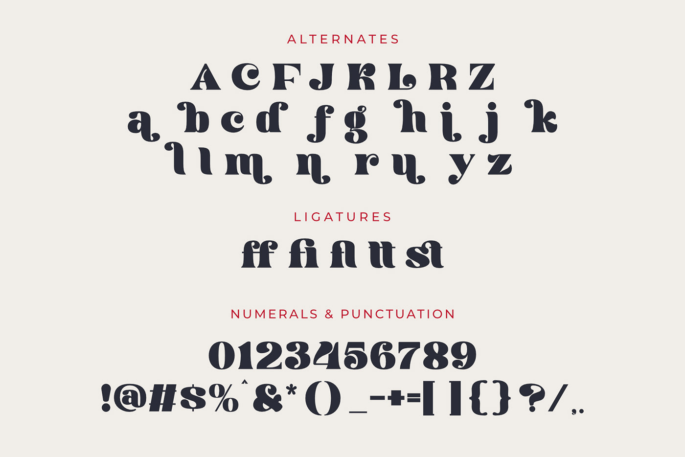 modern font Modern Serif display font display serif Fashion font bold serif branding font elegant font beauty font