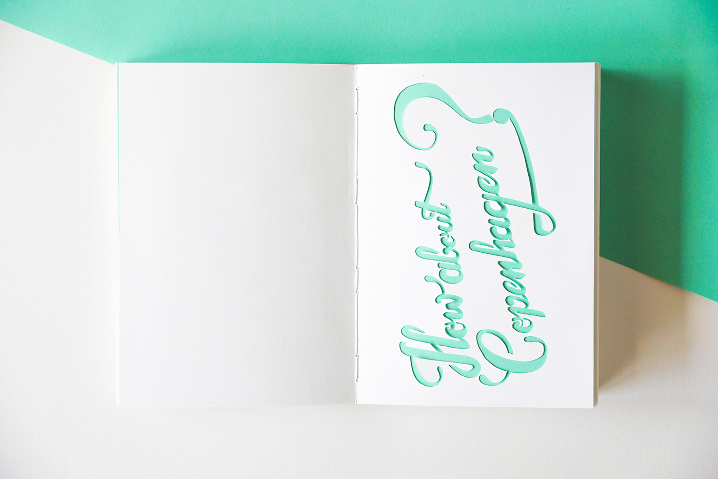 lettering cut-out book blue mint apricot HAND LETTERING binding paper White reflections type letter typo