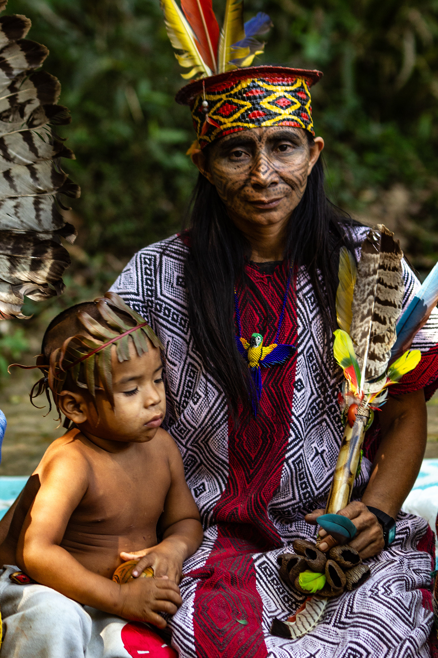 Brasil minas gerais ayahuasca amazonia acre