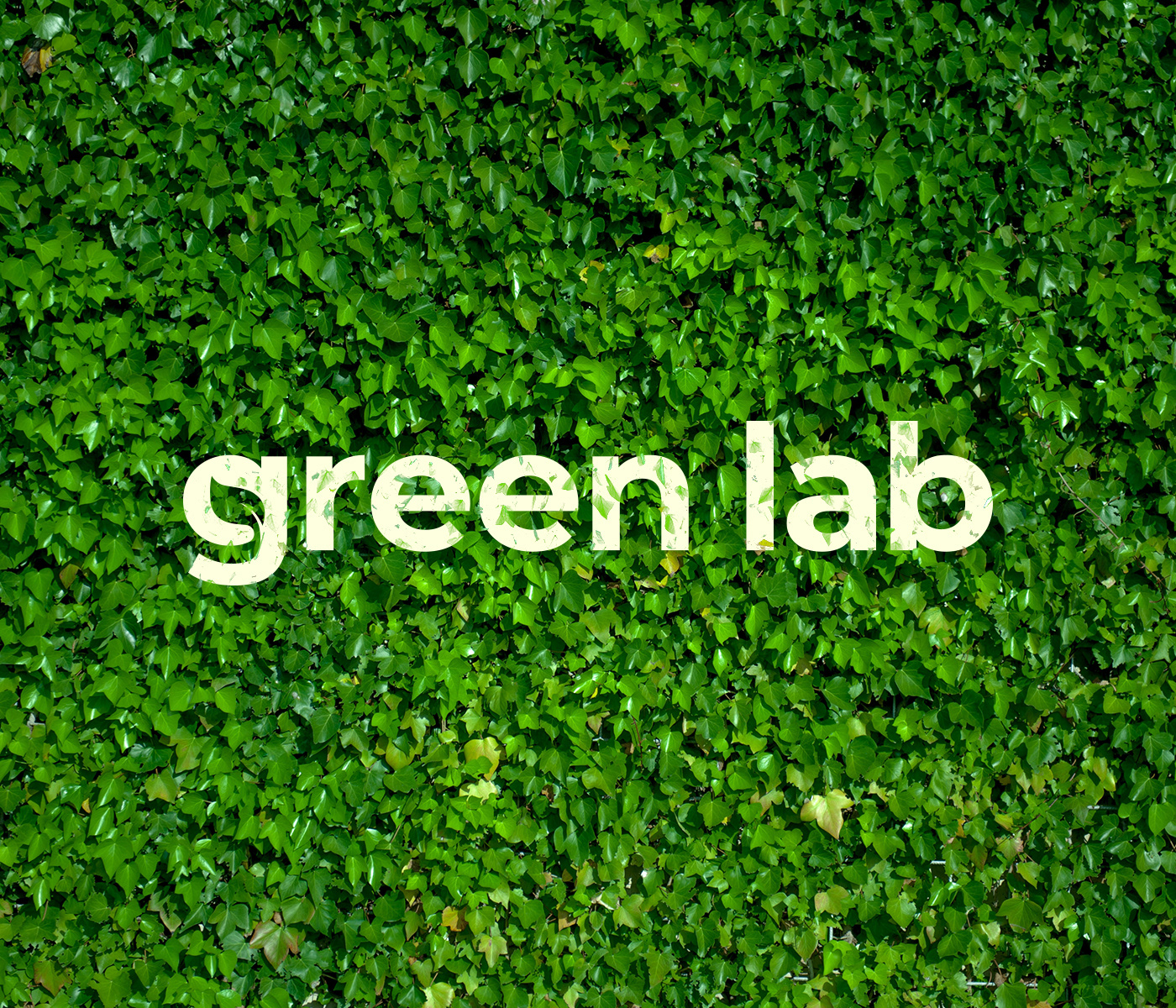 Brand Design brand identity ecofriendly green Logo Design Logotype Tree  visual identity