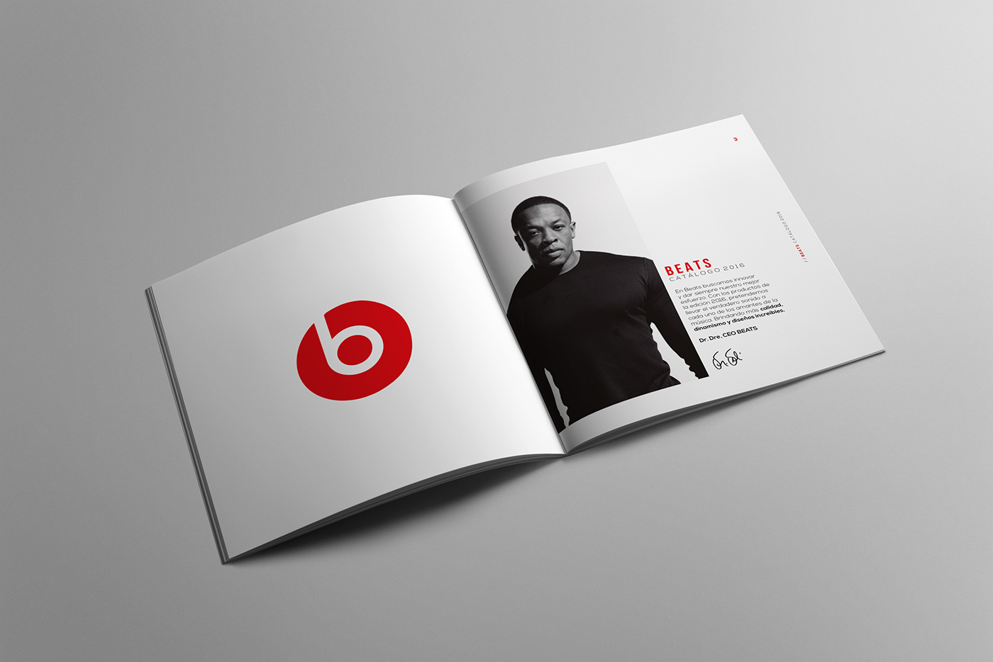 beats editorial design graphic design  Catalogue products