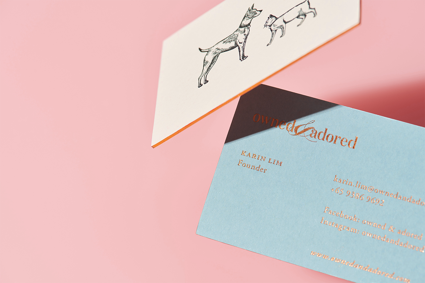 Anagrama anagramastudio mexico design branding  Pet Packaging collars identity pink